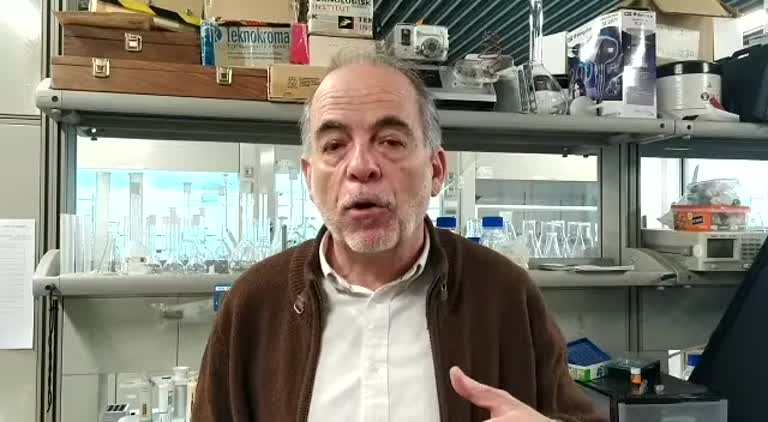 Lanzaderas inteligentes para destruir células tumorales desde su interior mediante calor