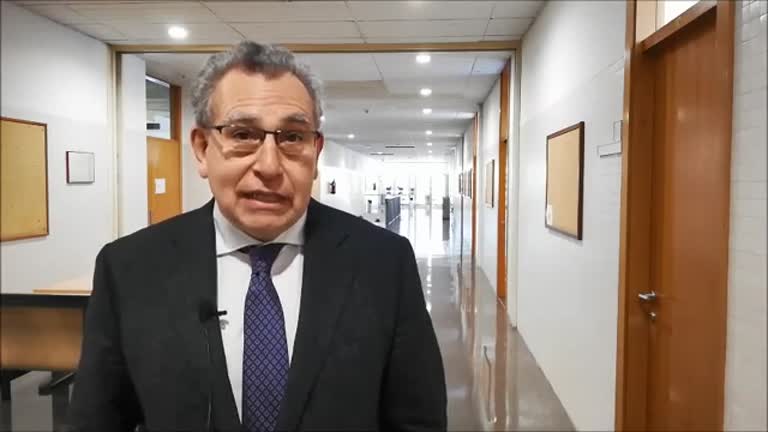 Luis Moreno Aznar habla de estilos de vida mediterráneos en la patrona de CC. de la Salud (2019)