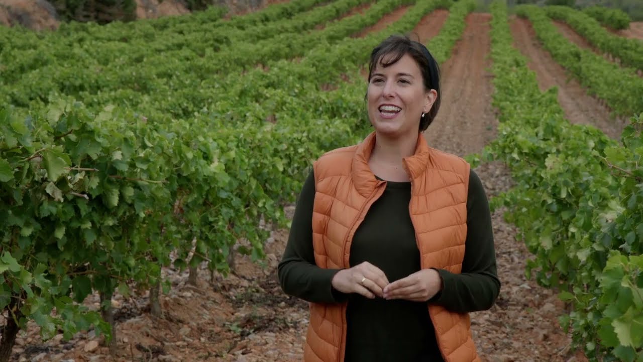 CLIMAROMA. Preservar los aromas del vino ante el cambio climático en el área POCTEFA