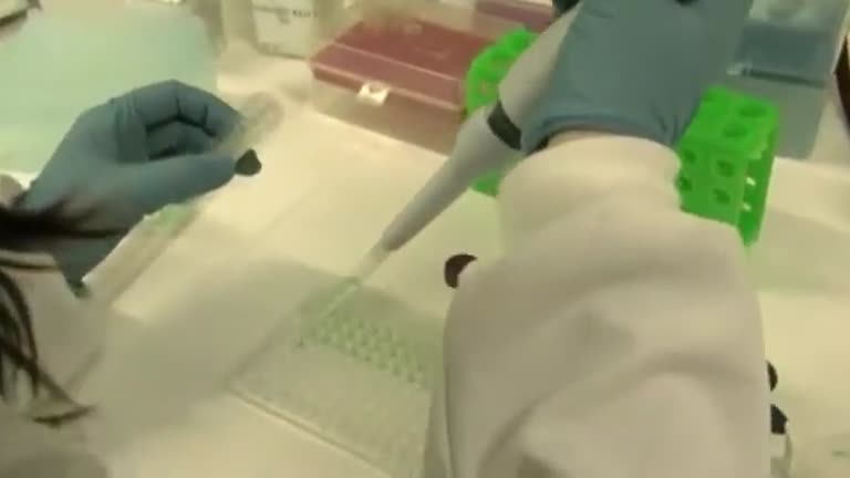 2012 - El Ave Fénix de la terapia: Medicina regenerativa