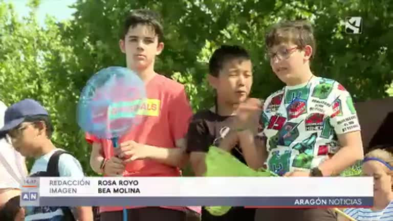 Visita geológica al Ebro - Green Week Unizar 2024 | Aragón TV